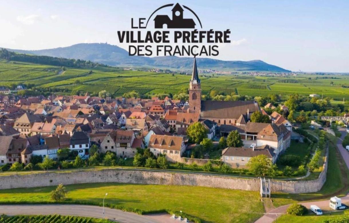 Cocon De Caractere Au Coeur Des Vignes Alsaciennes Apartment Bergheim Ngoại thất bức ảnh